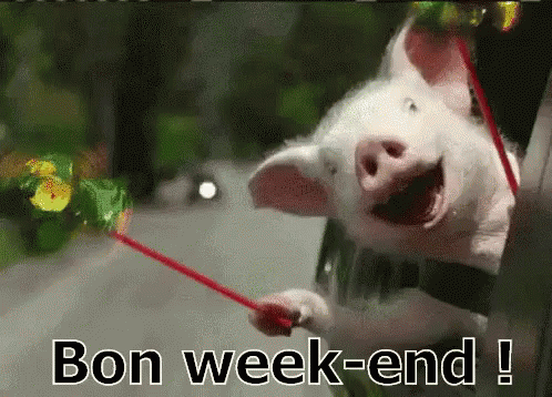 Weekend Animations, Gifs & Quotes To Get You Excited For The Weekend - picture 7