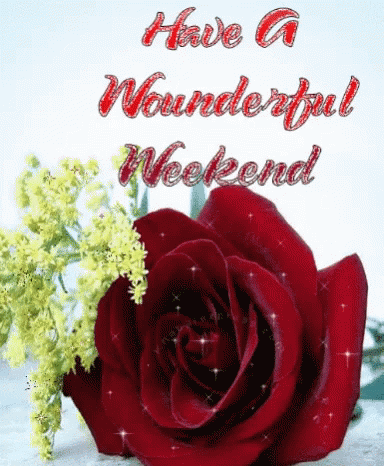 Weekend Animations, Gifs & Quotes To Get You Excited For The Weekend - picture 8