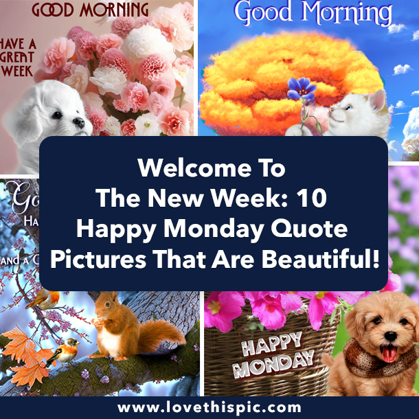 Welcome To The New Week: 10 Happy Monday Quote Pictures That Are Beautiful!