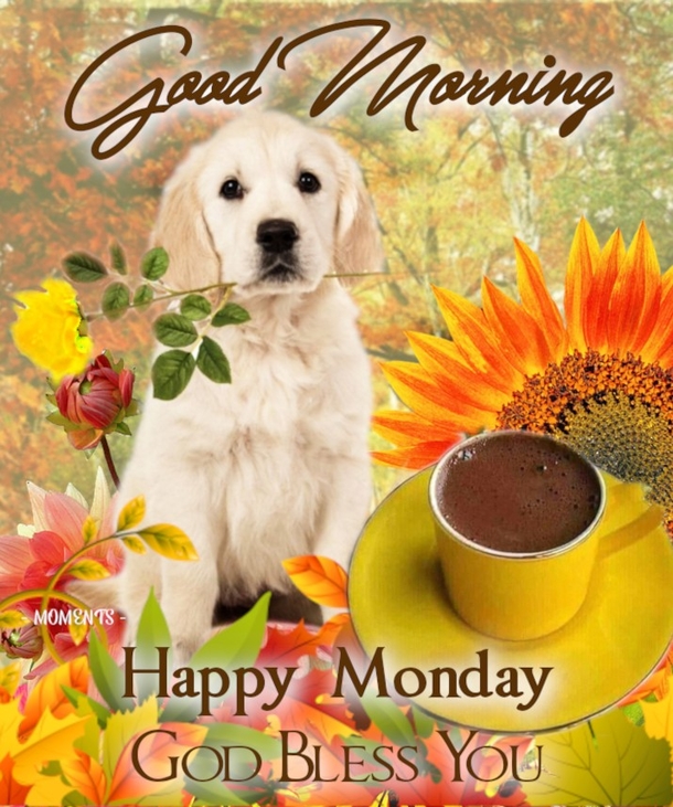 Welcome To The New Week: 10 Happy Monday Quote Pictures That Are Beautiful! - picture 11