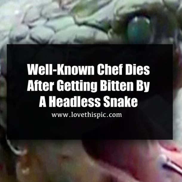 Well-Known Chef Dies After Getting Bitten By A Headless Snake