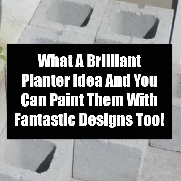 What A Brilliant Planter Idea And You Can Paint Them With Fantastic Designs Too!