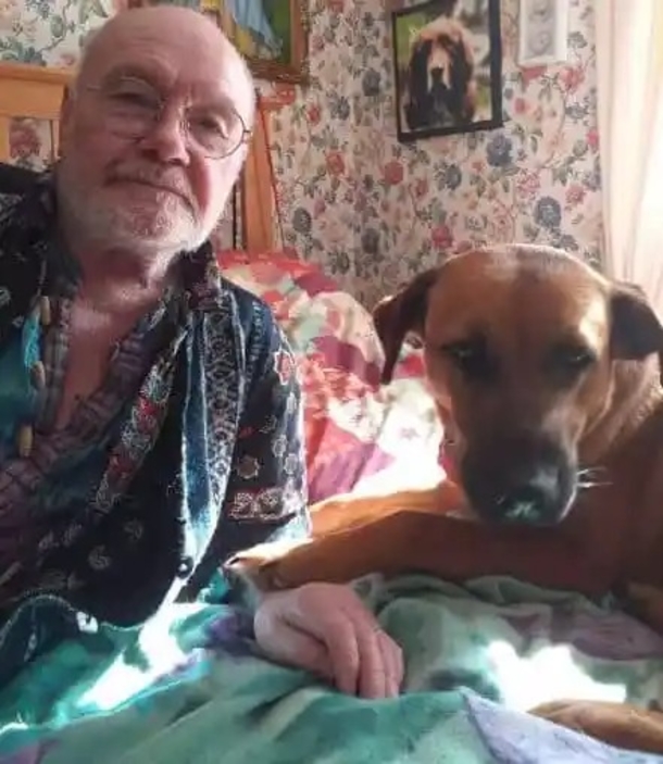 When a loyal dog’s elderly owner fell into a ditch, she stuck by his side while barking for help - picture 2