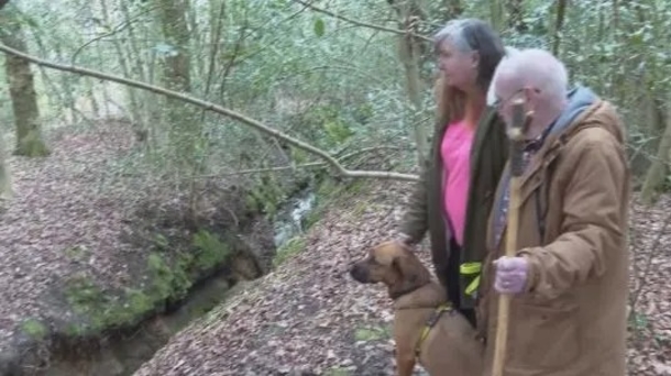 When a loyal dog’s elderly owner fell into a ditch, she stuck by his side while barking for help - picture 5