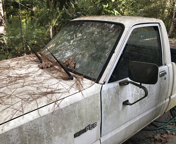 When A Mother's Baby Vanishes, Rescuers Discover Something That Will Break This Case - picture 4