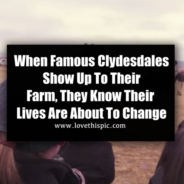 When Famous Clydesdales Show Up To Their Farm, They Know Their Lives Are About To Change