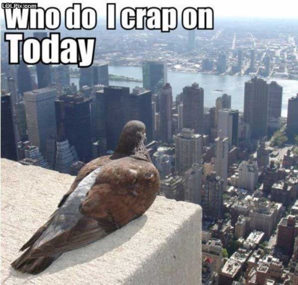 When Life Decisions Get Tough (10 Pictures) - picture 4