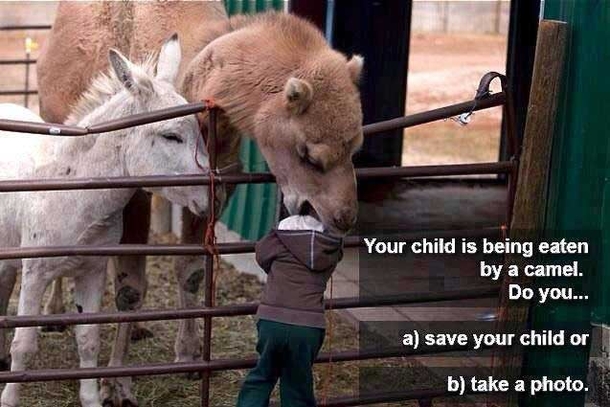 When Life Decisions Get Tough (10 Pictures) - picture 8