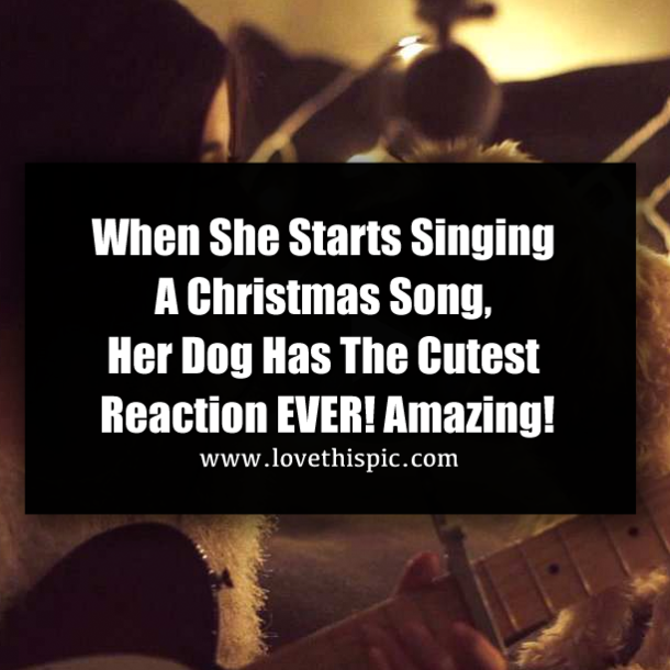 When She Starts Singing A Christmas Song, Her Dog Has The Cutest Reaction EVER! Amazing!