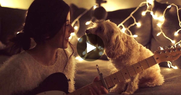When She Starts Singing A Christmas Song, Her Dog Has The Cutest Reaction EVER! Amazing! - picture 2