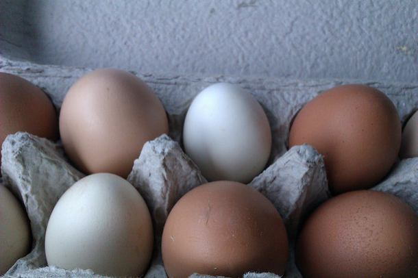 When You Eat 2 Eggs Each Day, It Has This Healthy Benefit To Your Body! - picture 5