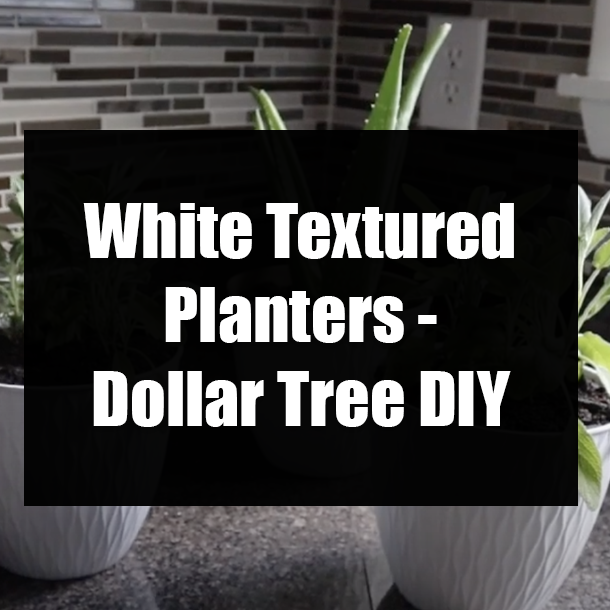 White Textured Planters - Dollar Tree DIY
