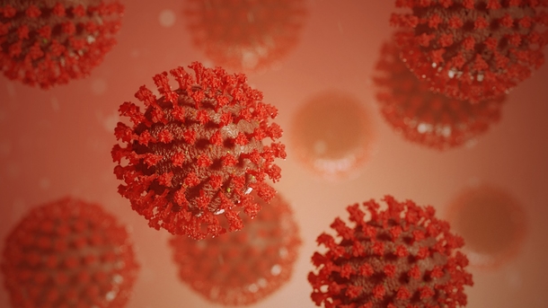 WHO reports record daily increase in worldwide coronavirus cases - picture 2