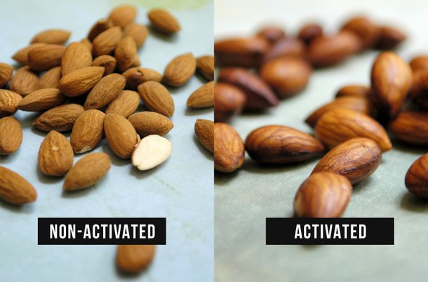 Why You Should ‘Activate’ Your Nuts & Seeds – And How To Do It - picture 2