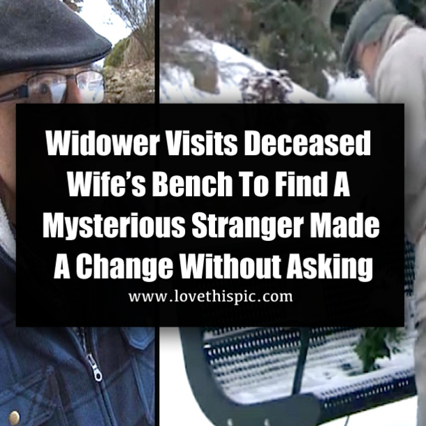 Widower Visits Deceased Wife’s Bench To Find A Mysterious Stranger Made A Change Without Asking