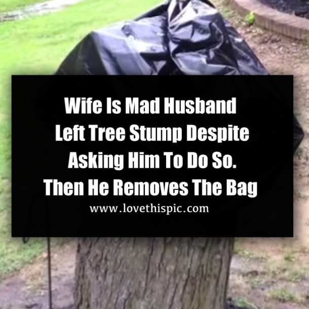 Wife Is Mad Husband Left Tree Stump Despite Asking Him To Do So. Then He Removes The Bag