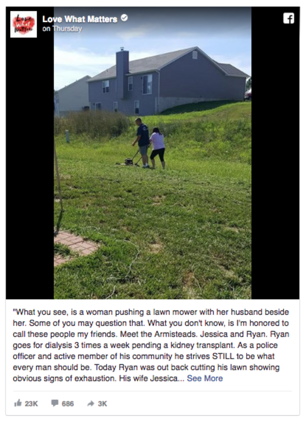 Wife Mows The Lawn While Husband Stands Around, Neighbors Discover The Truth... - picture 2
