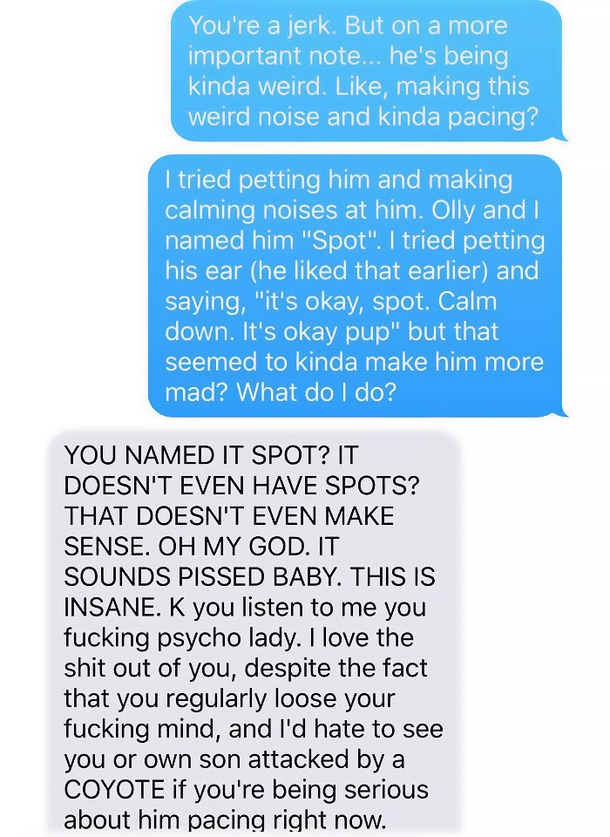 Wife Texts Husband She Brought A Dog Home While The Pic Shows A Coyote, And He Seriously Freaks Out - picture 10