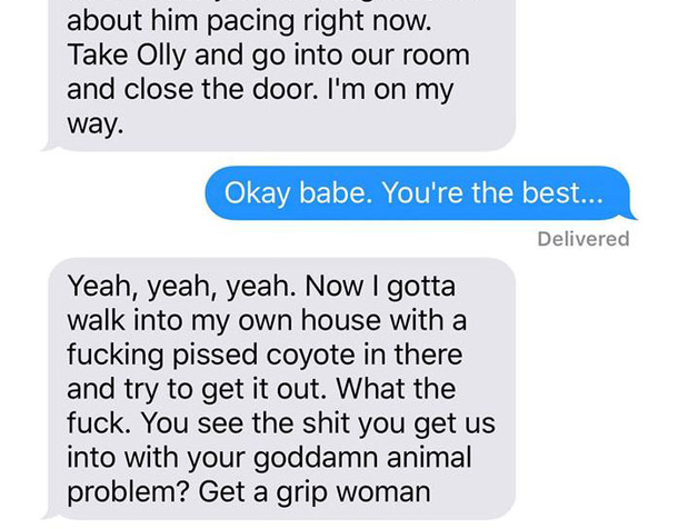 Wife Texts Husband She Brought A Dog Home While The Pic Shows A Coyote, And He Seriously Freaks Out - picture 11