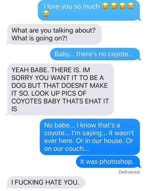 Wife Texts Husband She Brought A Dog Home While The Pic Shows A Coyote, And He Seriously Freaks Out - picture 13