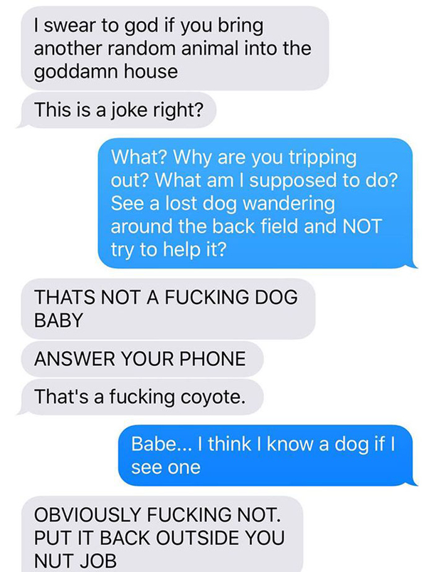 Wife Texts Husband She Brought A Dog Home While The Pic Shows A Coyote, And He Seriously Freaks Out - picture 3