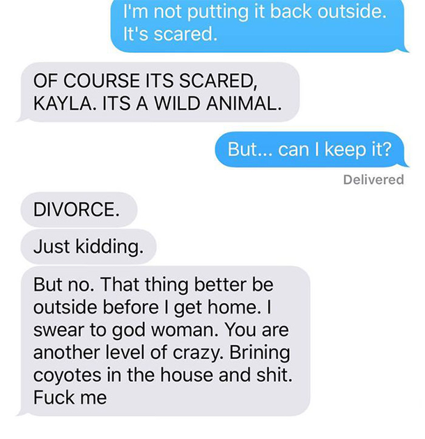 Wife Texts Husband She Brought A Dog Home While The Pic Shows A Coyote, And He Seriously Freaks Out - picture 4