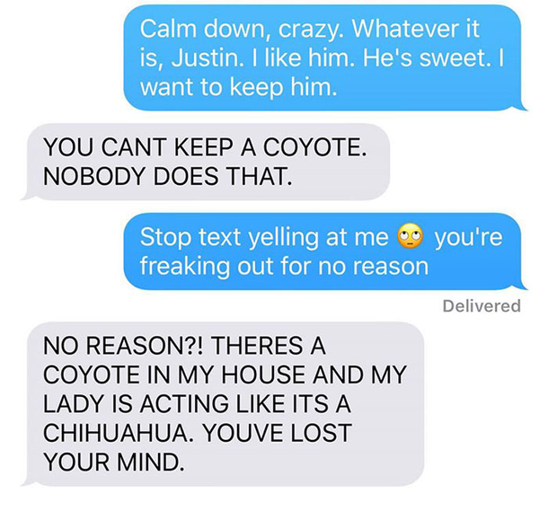 Wife Texts Husband She Brought A Dog Home While The Pic Shows A Coyote, And He Seriously Freaks Out - picture 5