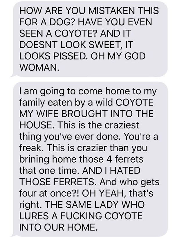 Wife Texts Husband She Brought A Dog Home While The Pic Shows A Coyote, And He Seriously Freaks Out - picture 8