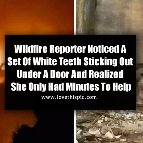 Wildfire Reporter Noticed A Set Of White Teeth Sticking Out Under A Door And Realized She Only Had Minutes To Help