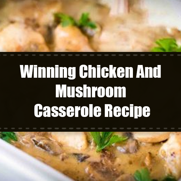 Winning Chicken And Mushroom Casserole Recipe