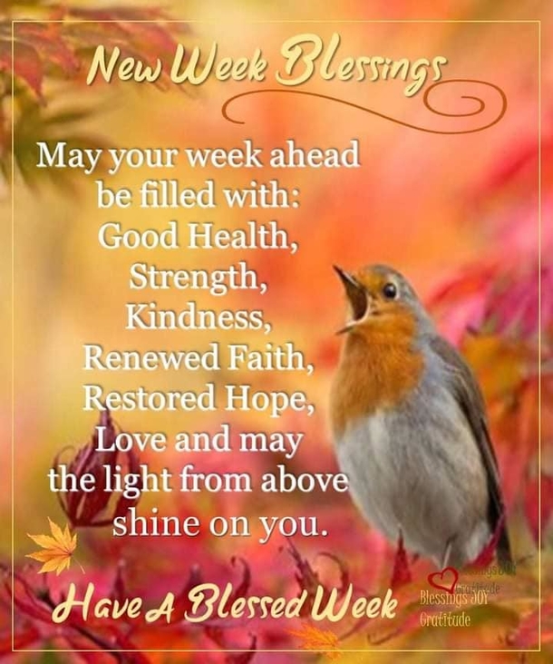 Wishing You a Blessed Monday: 10 Happy Monday Quotes - picture 11