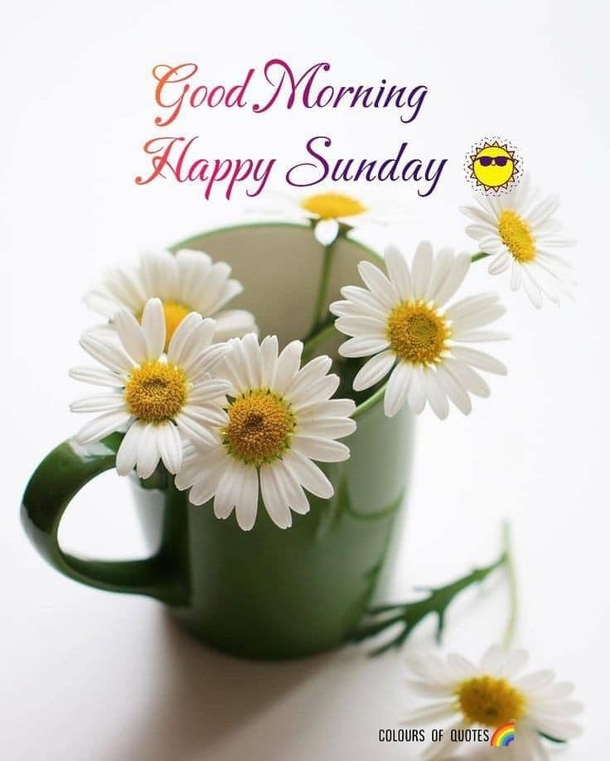 Wishing You a Blessed Sunday: 10 Inspirational Good Morning Messages - picture 11