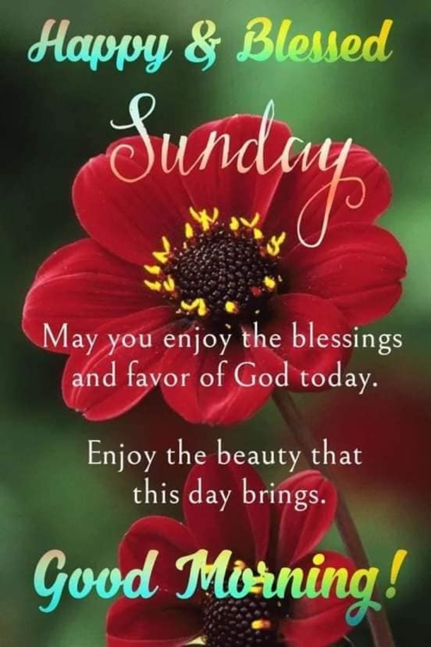 Wishing You a Blessed Sunday: 10 Inspirational Good Morning Messages - picture 6