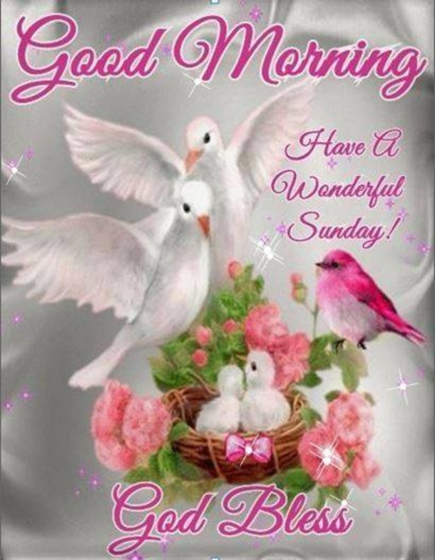 Wishing You a Blessed Sunday: 10 Inspirational Good Morning Messages - picture 9