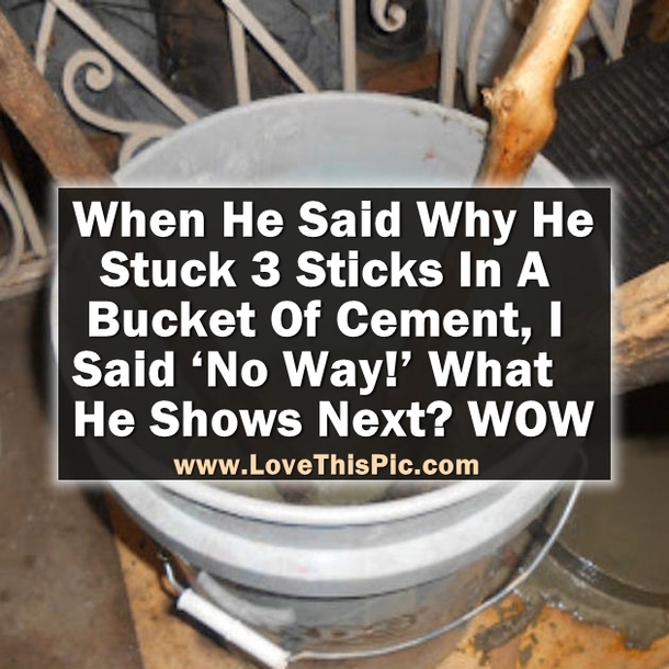 With Just A Bucket Of Cement, 3 Sticks, And A Few Stones, This Guy Creates Something Amazing!