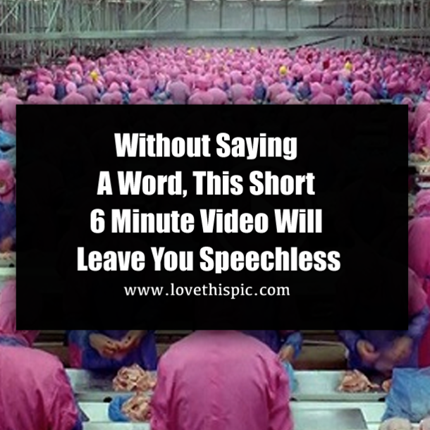 Without Saying A Word, This Short 6 Minute Video Will Leave You Speechless