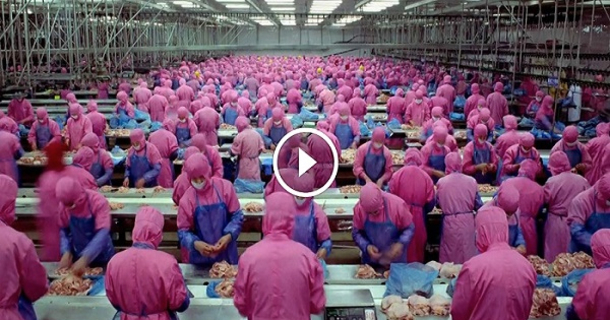 Without Saying A Word, This Short 6 Minute Video Will Leave You Speechless - picture 2