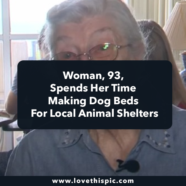 Woman, 93, Spends Her Time Making Dog Beds For Local Animal Shelters