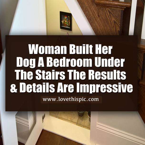 Woman Built Her Dog A Bedroom Under The Stairs The Results & Details Are Impressive
