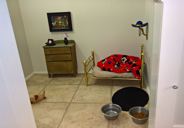 Woman Built Her Dog A Bedroom Under The Stairs The Results & Details Are Impressive - picture 4