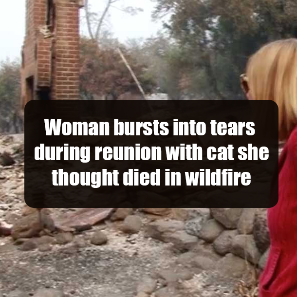 Woman bursts into tears during reunion with cat she thought died in wildfire