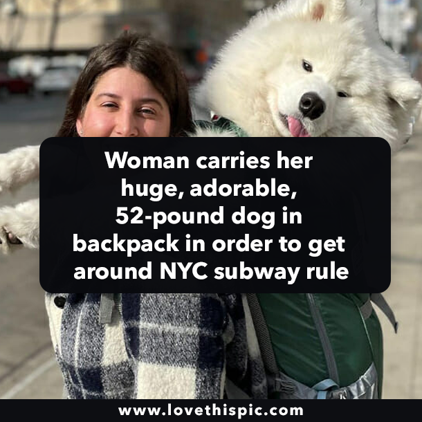 Woman carries her huge, adorable, 52-pound dog in backpack in order to get around NYC subway rule