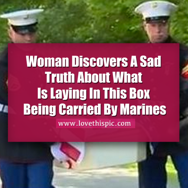 Woman Discovers A Sad Truth About What Is Laying In This Box Being Carried By Marines