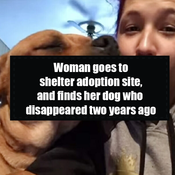 Woman goes to shelter adoption site, and finds her dog who disappeared two years ago
