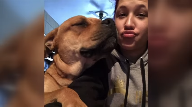 Woman goes to shelter adoption site, and finds her dog who disappeared two years ago - picture 4