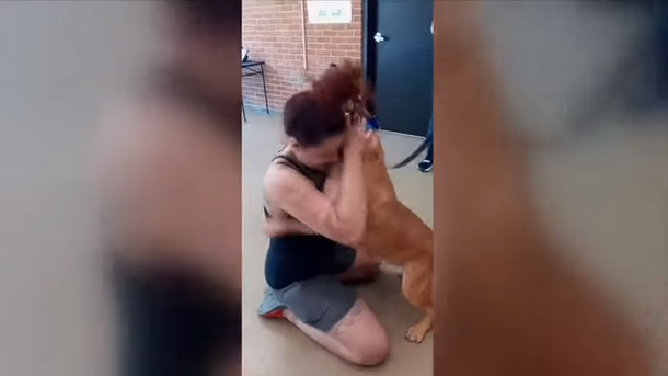 Woman goes to shelter adoption site, and finds her dog who disappeared two years ago - picture 5