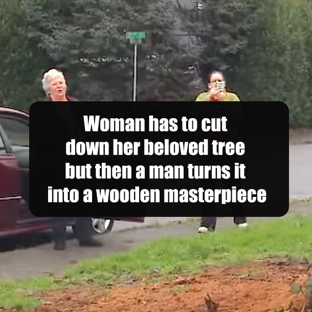 Woman has to cut down her beloved tree but then a man turns it into a wooden masterpiece