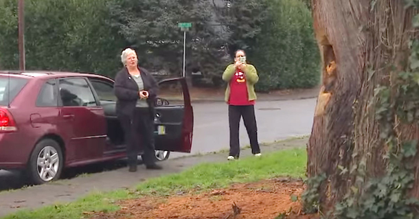 Woman has to cut down her beloved tree but then a man turns it into a wooden masterpiece - picture 2