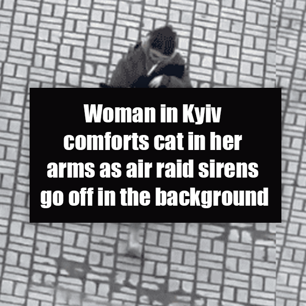 Woman in Kyiv comforts cat in her arms as air raid sirens go off in the background