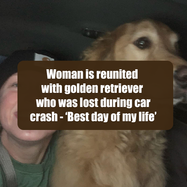 Woman is reunited with golden retriever who was lost during car crash - ‘Best day of my life’